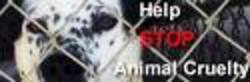 /images/stop_animal_aduse_250x82.jpg